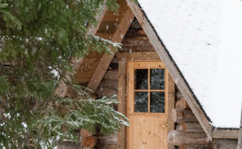 Ekspertyza domu drewnianego – podstawowe informacje