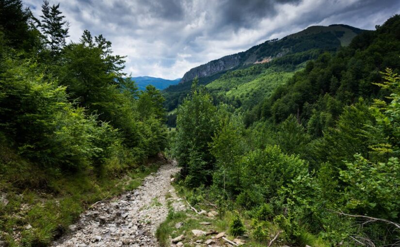 Szlaki turystyczne w górach